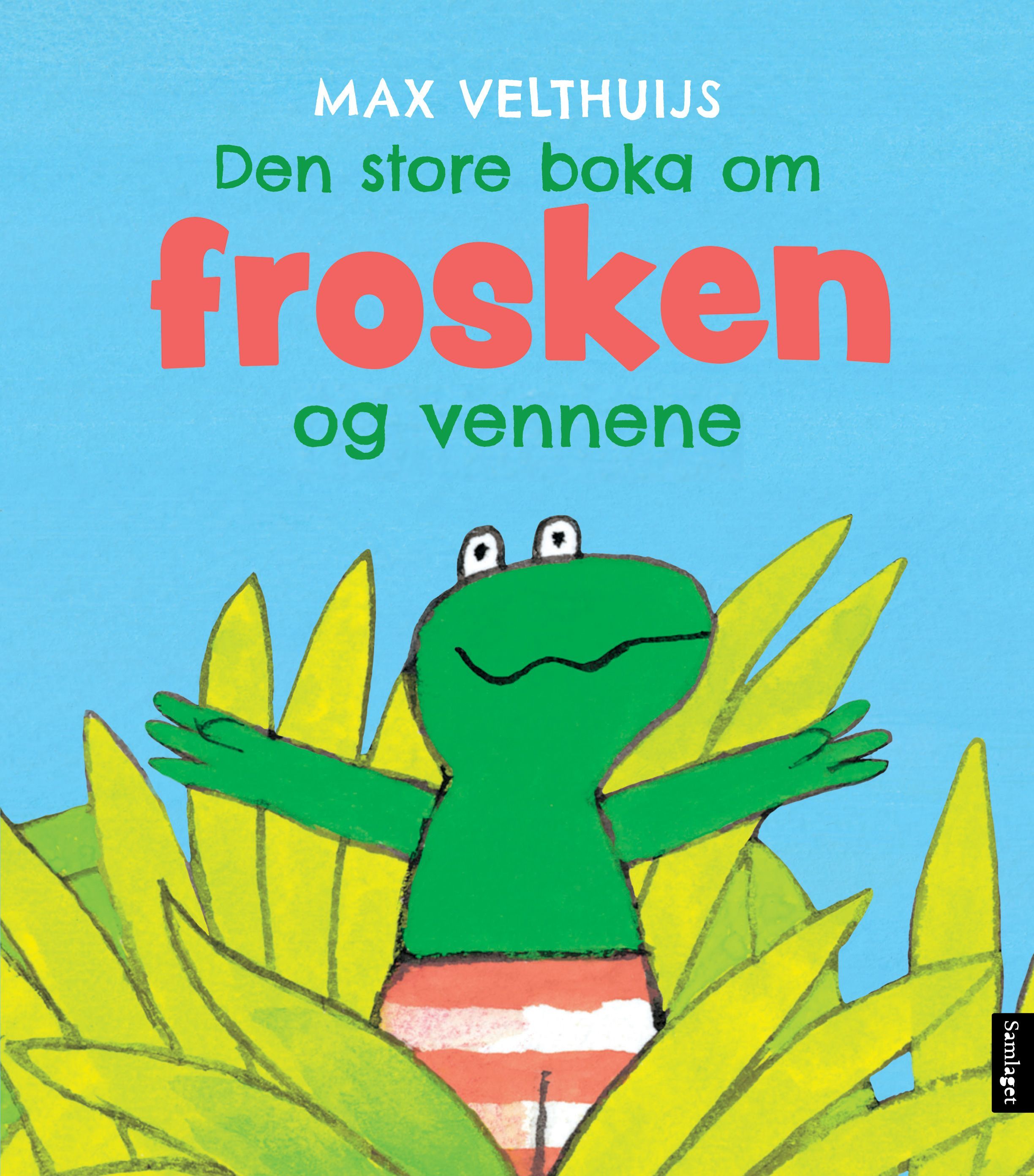 Kikker is een held
