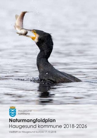 Naturmangfoldplan : Haugesund kommune 2018-2026