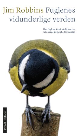 The wonder of birds