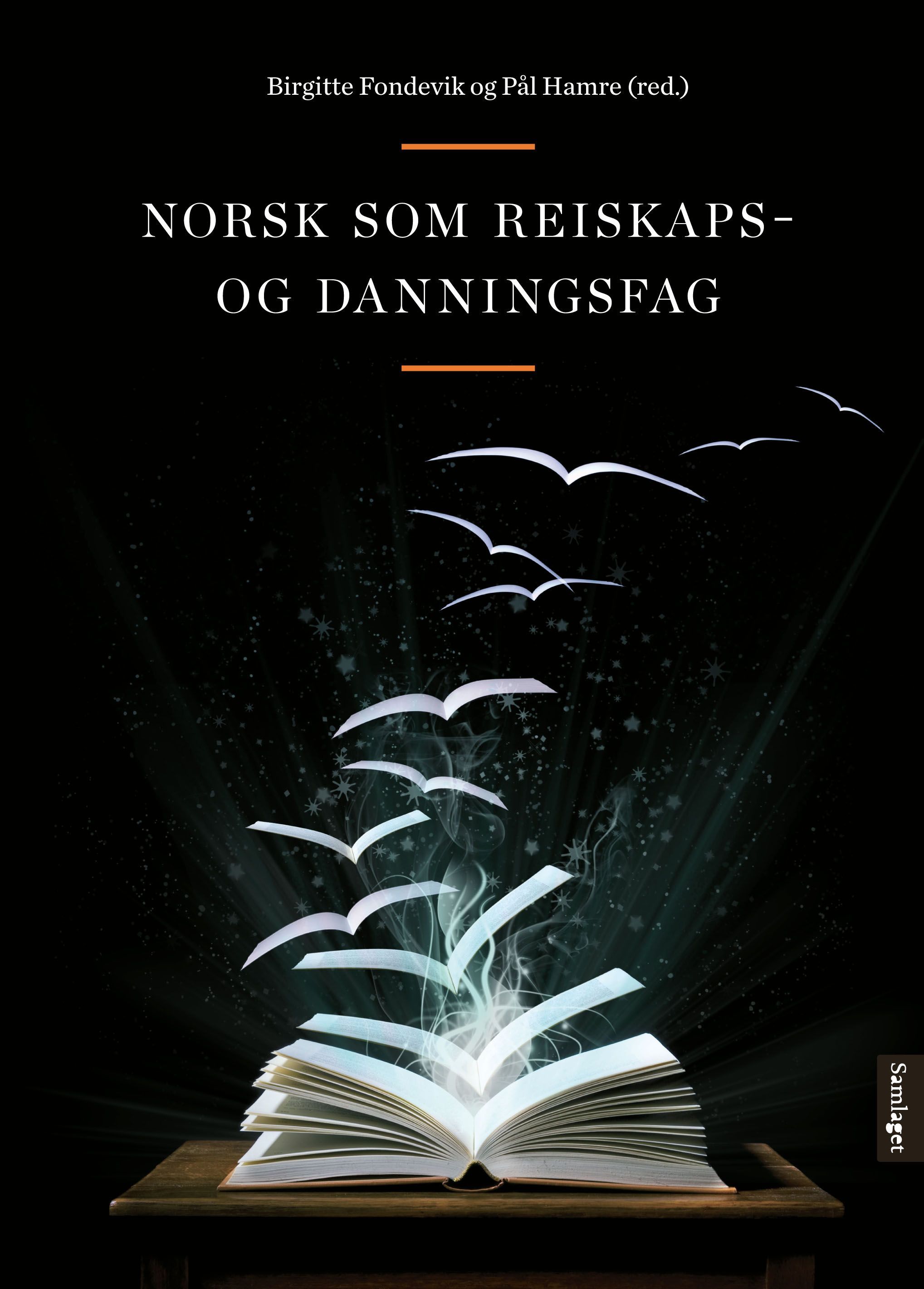 Norsk som reiskaps- og danningsfag