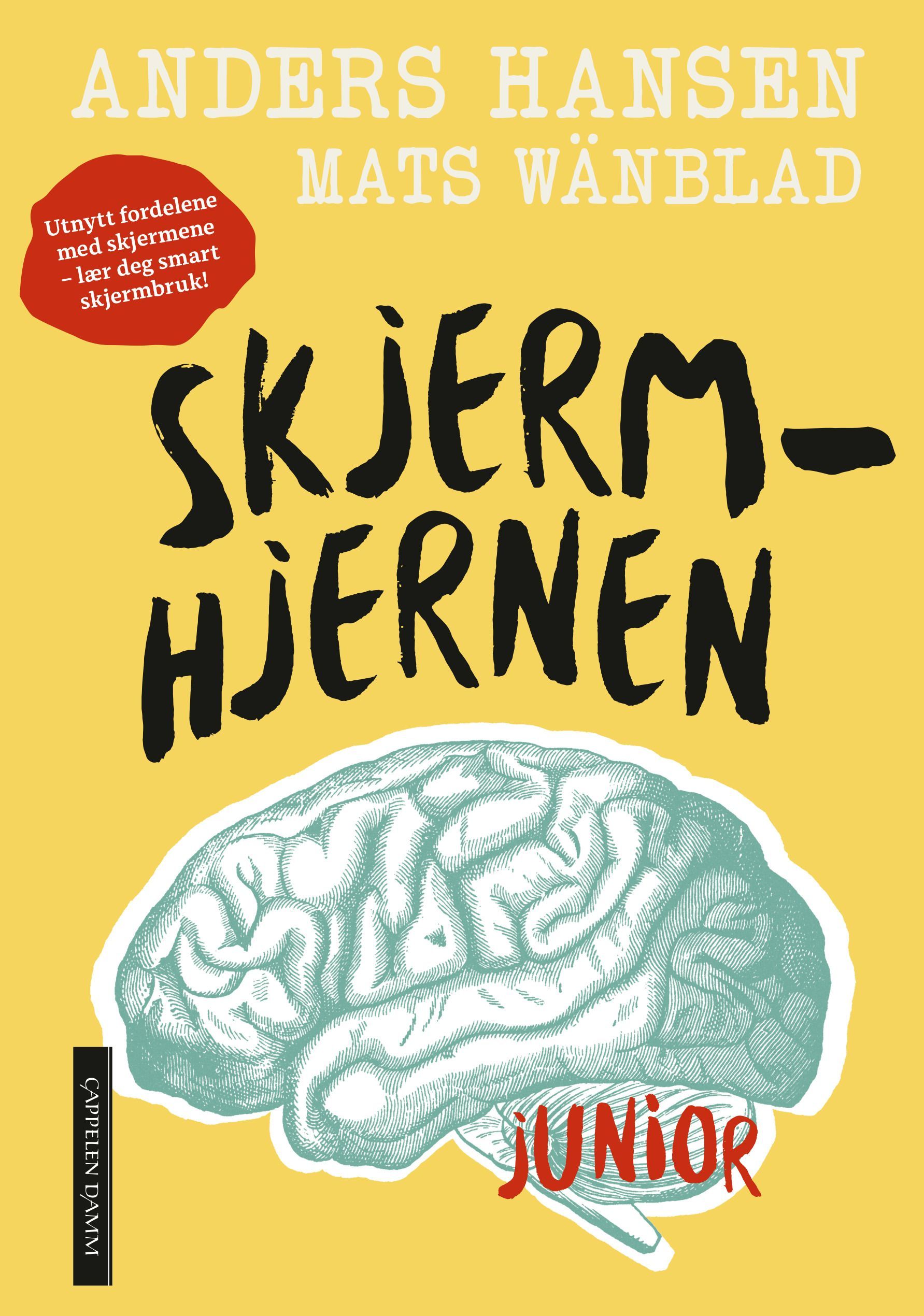 Skärmhjärnan junior