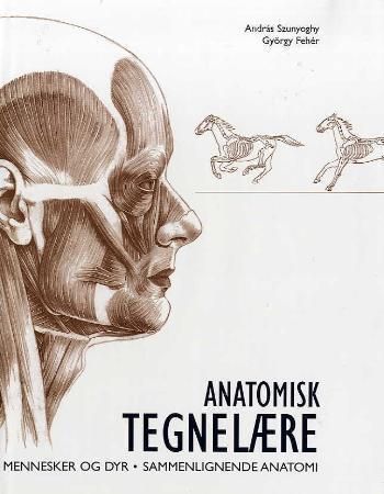 Anatomy drawing school