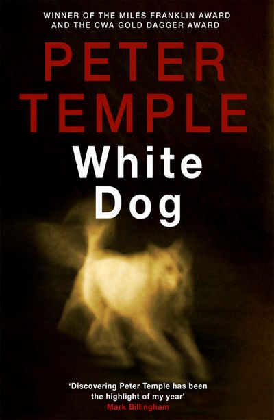 White dog