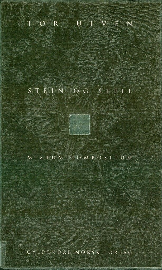 Stein og speil