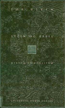 Stein og speil