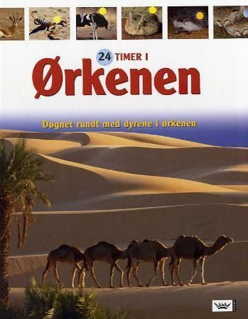24 hours at the desert