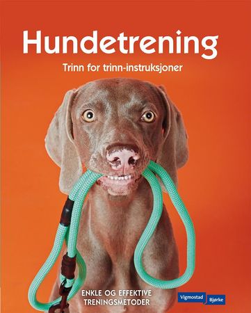 Dog training 101