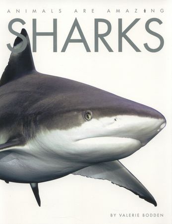 Sharks