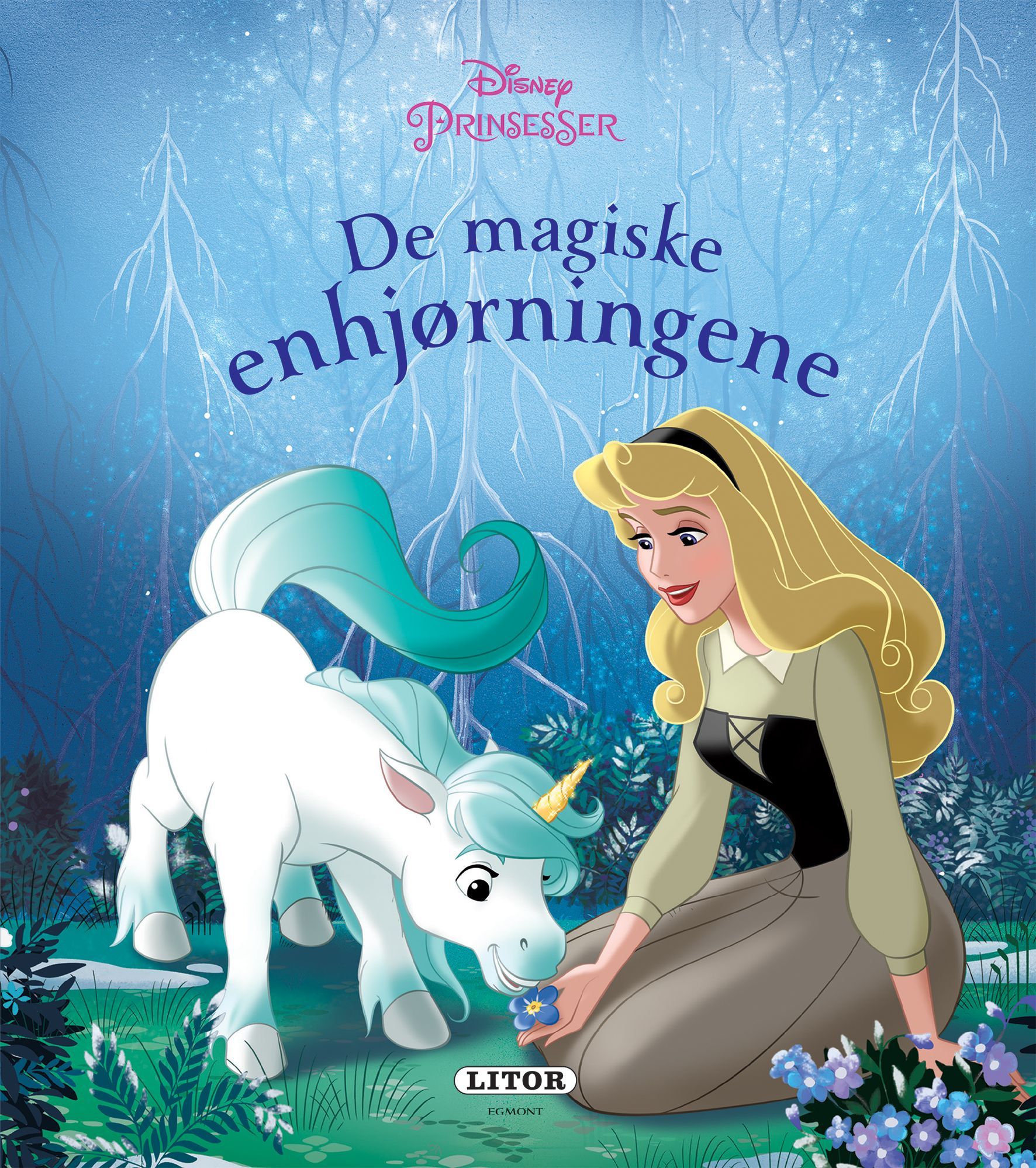 The enchanted unicorn adventure