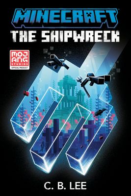 The shipwreck