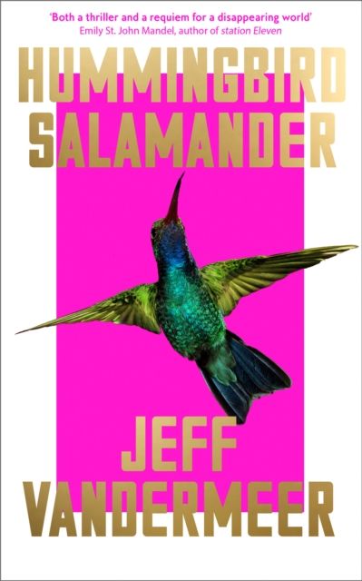 Hummingbird salamander
