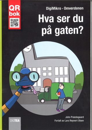 Hvad ser du på gaden?