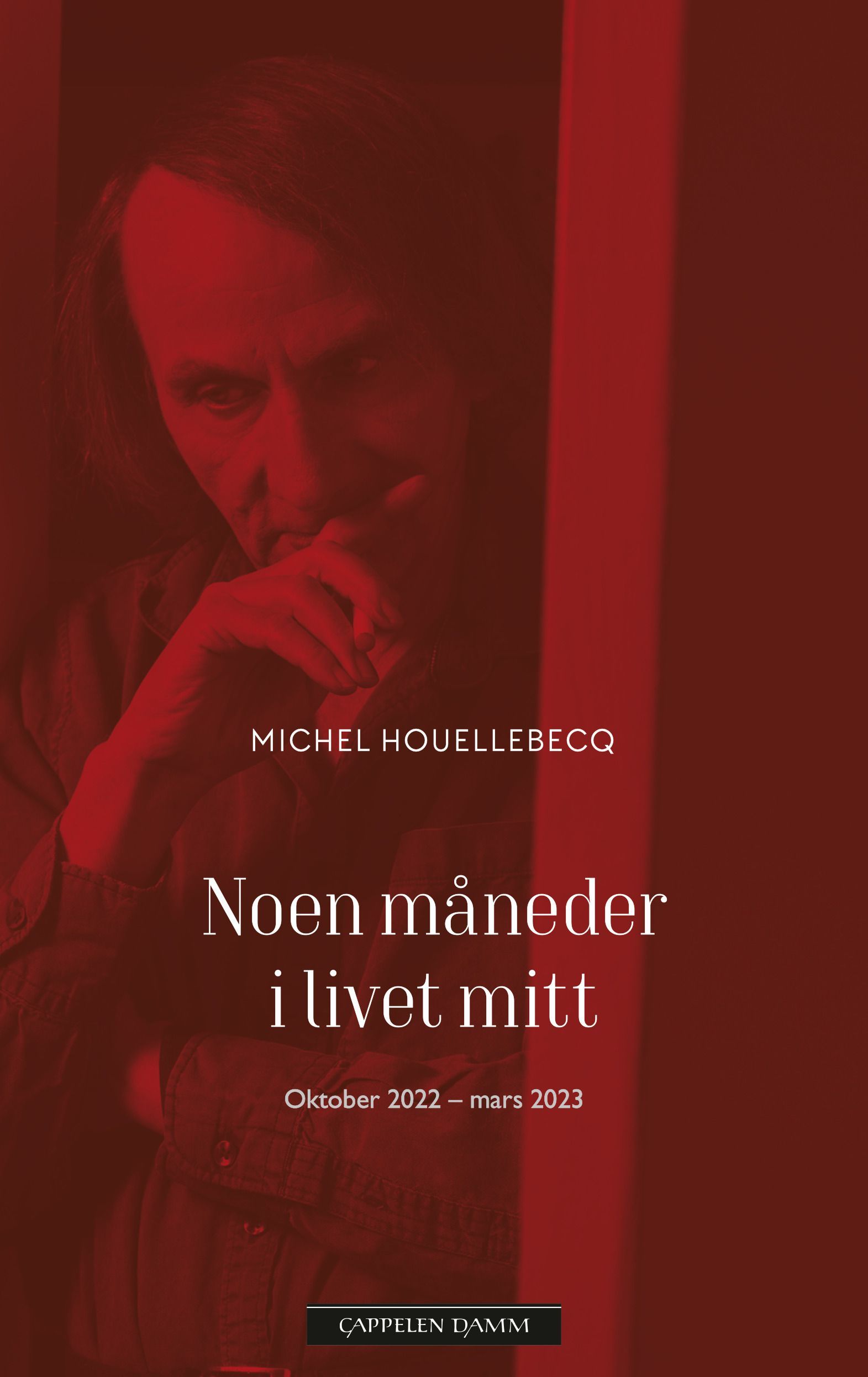 Quelques mois dans ma vie