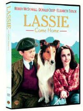 Lassie come home