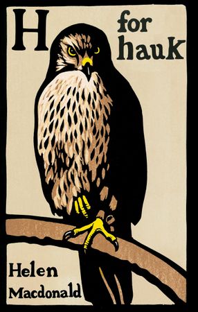 H is for hawk