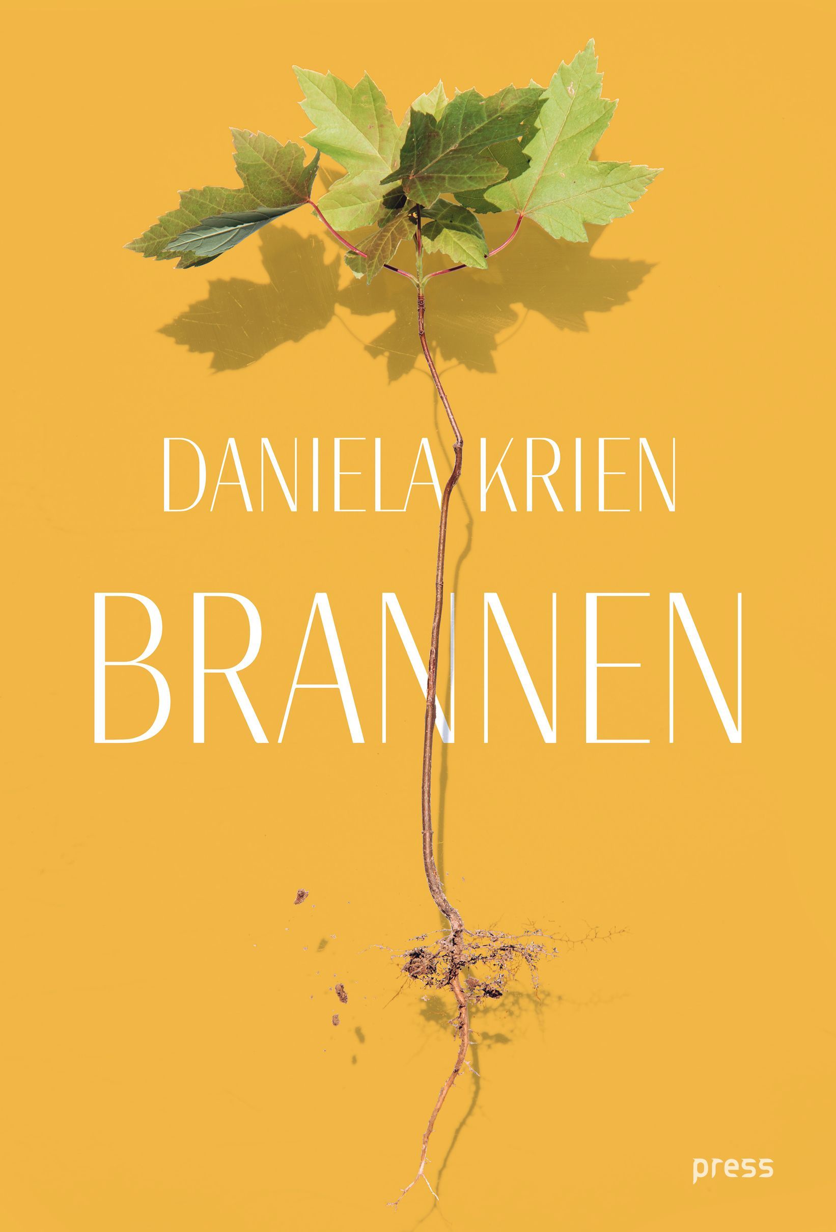 Der Brand