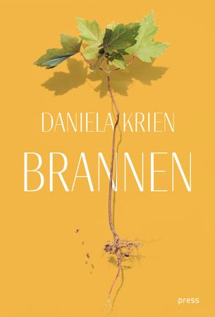 Der Brand