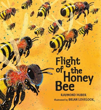 Flight of the honey bee