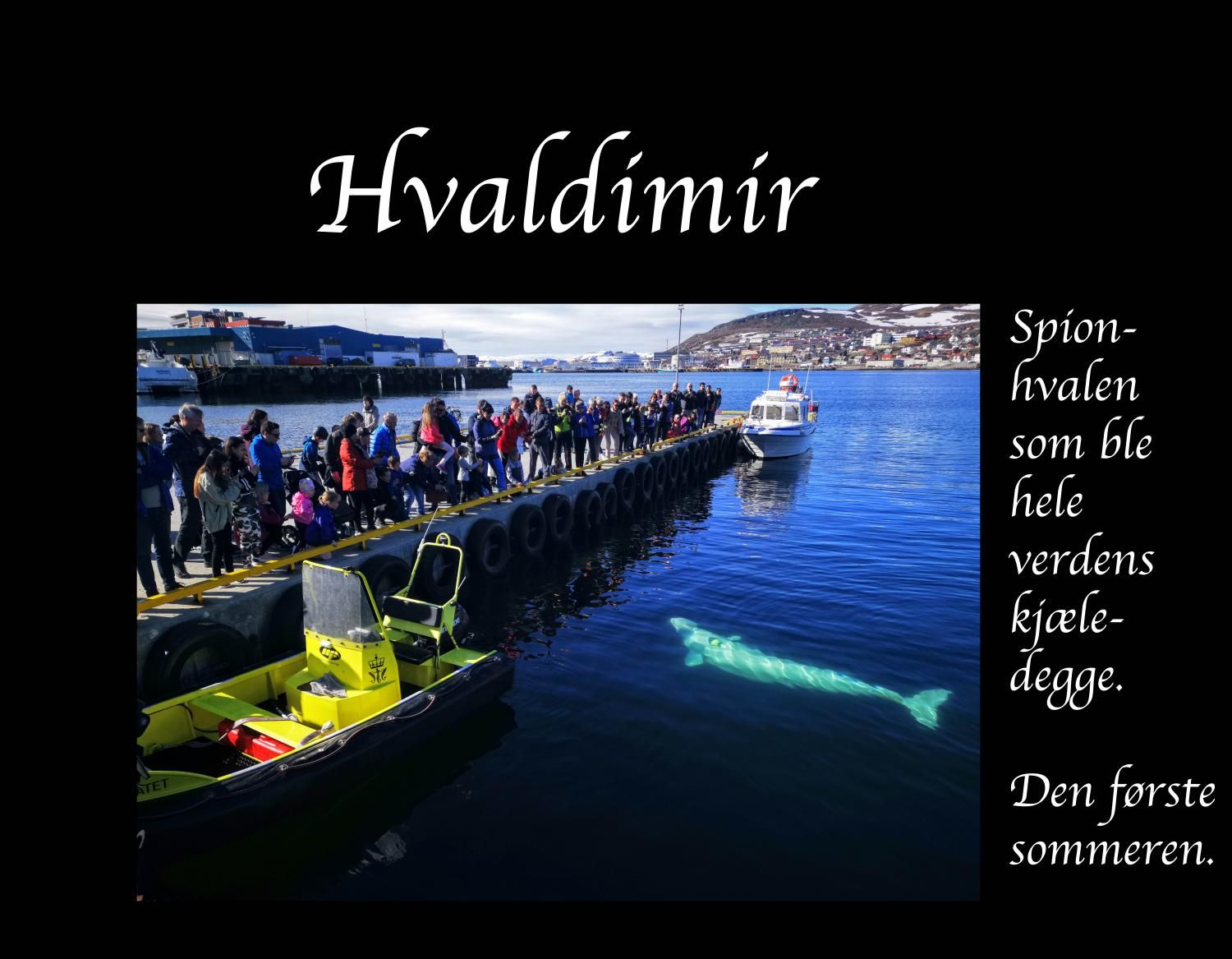 Hvaldimir