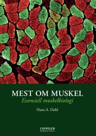 Mest om muskel