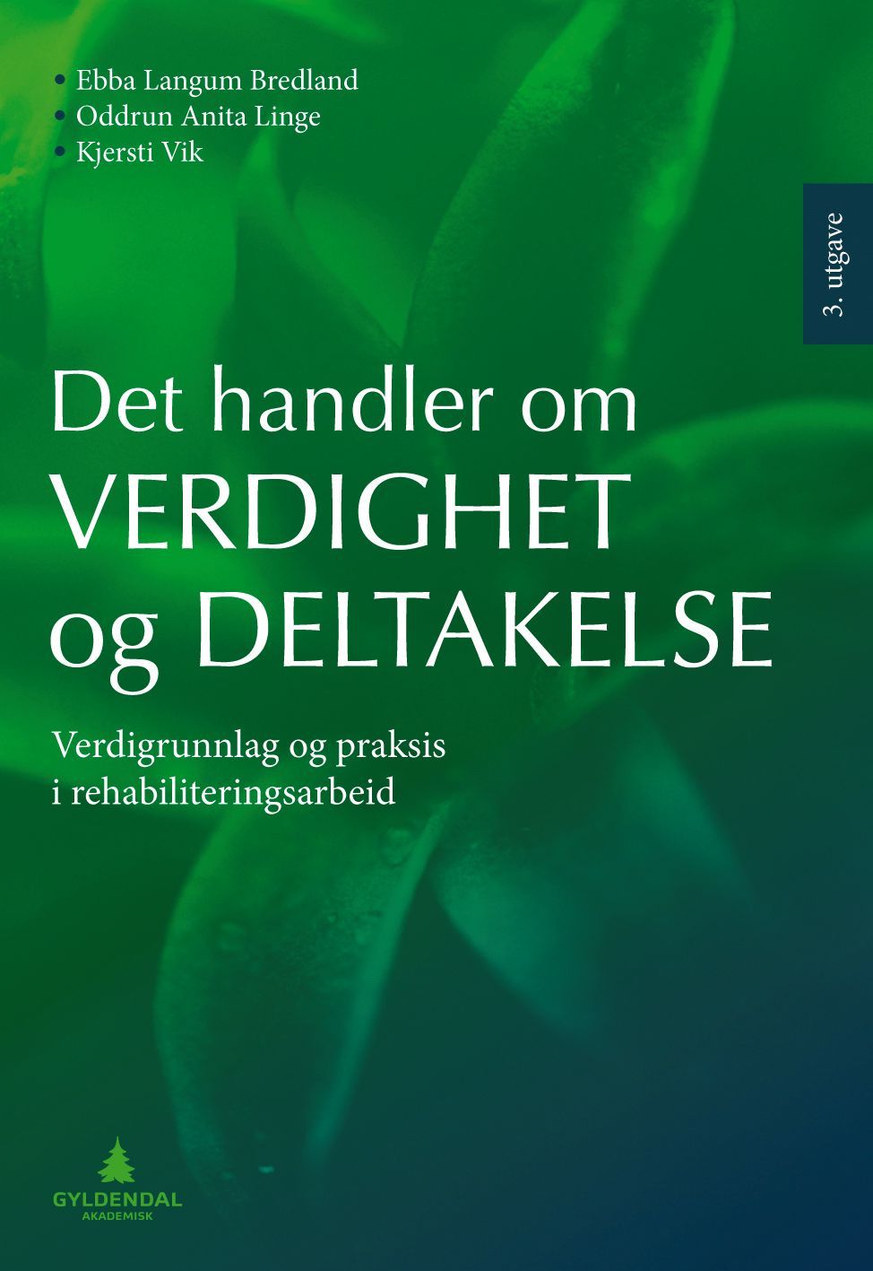 Det handler om verdighet og deltakelse