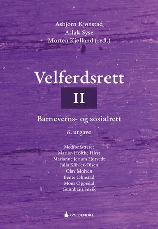 Velferdsrett. II. barneverns- og sosialrett