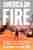 America on fire