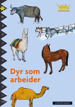 Djur som bär och drar