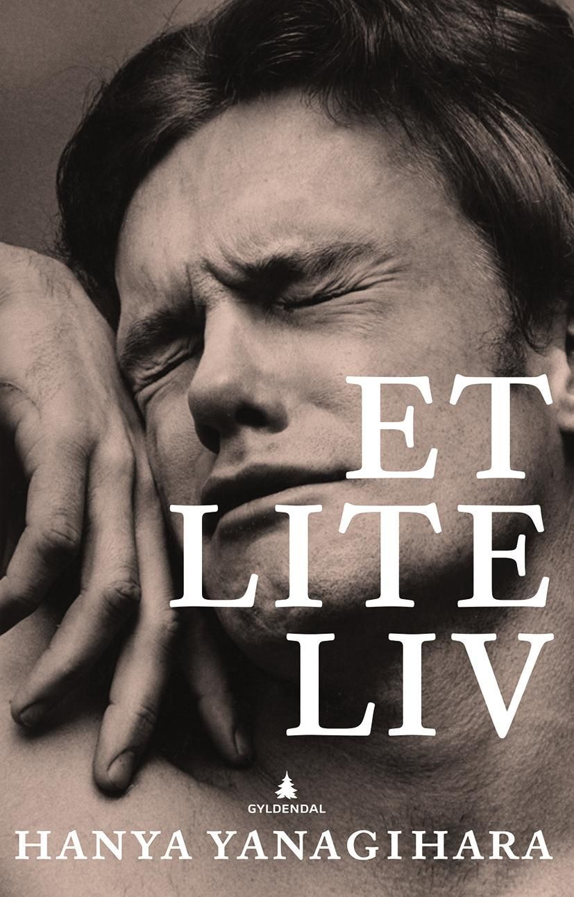 A little life