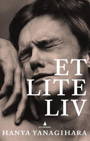 A little life