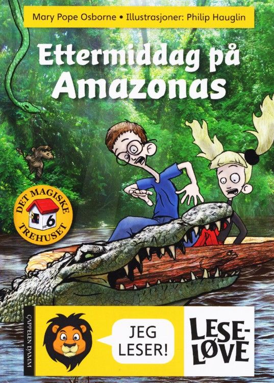 Afternoon on the Amazon