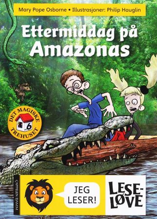 Afternoon on the Amazon