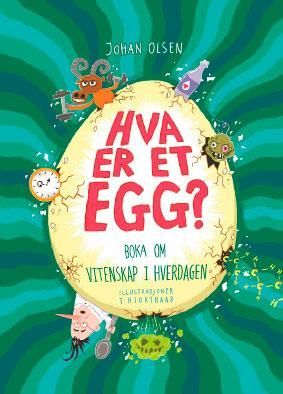 Hvad er et æg?