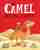 The Camel Who Had The Hump : From The World of Rachel Bright & Jim Field