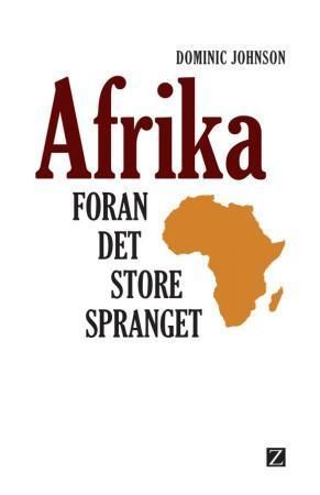 Afrika vor dem grossen Sprung