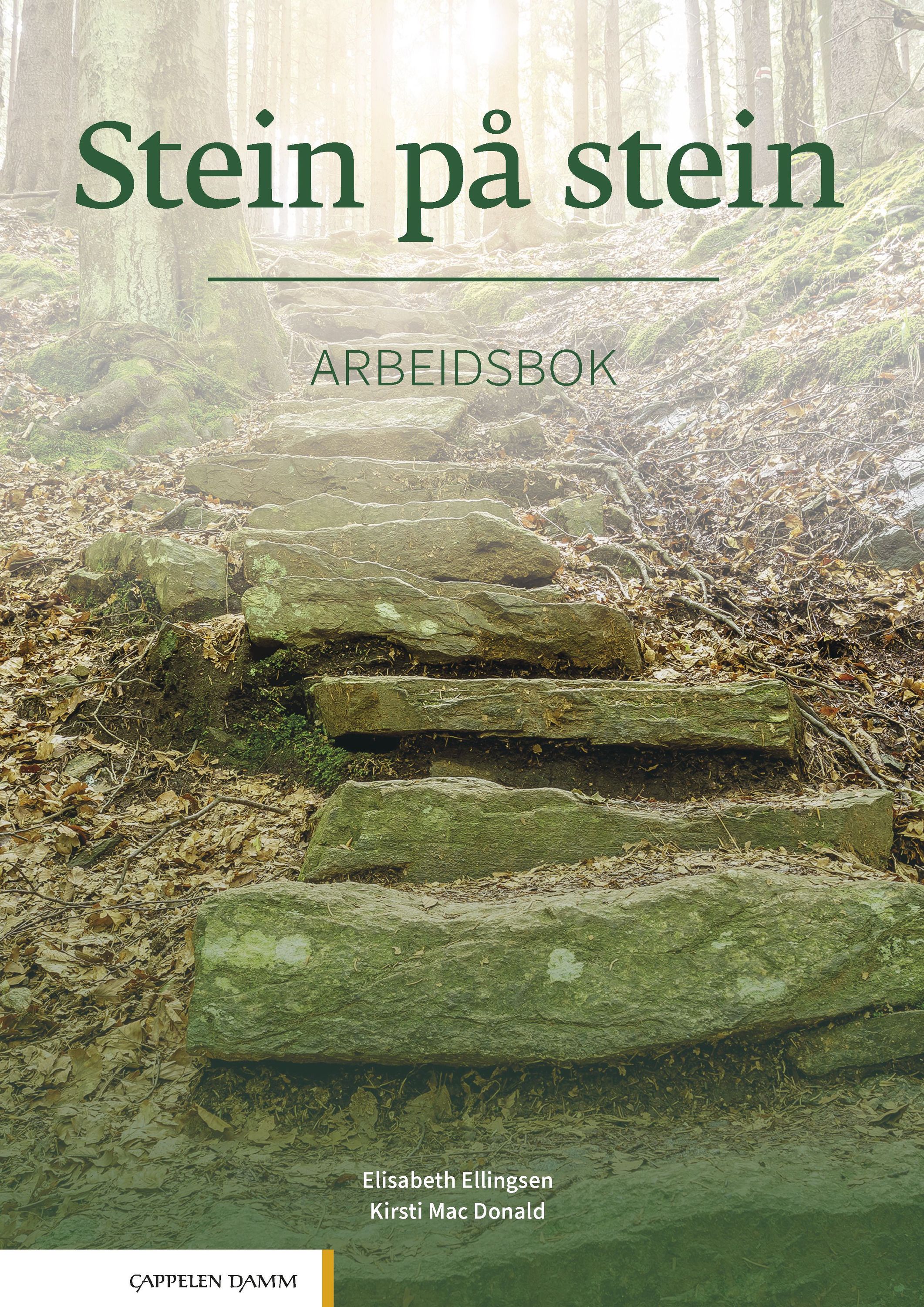 Stein på stein. Arbeidsbok