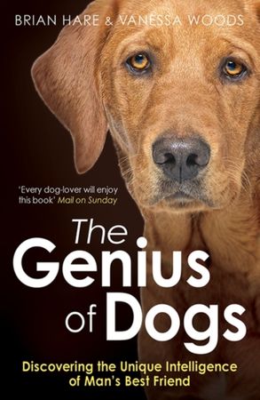 The genius of dogs