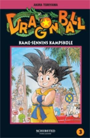 Kame-Sennins kampskole