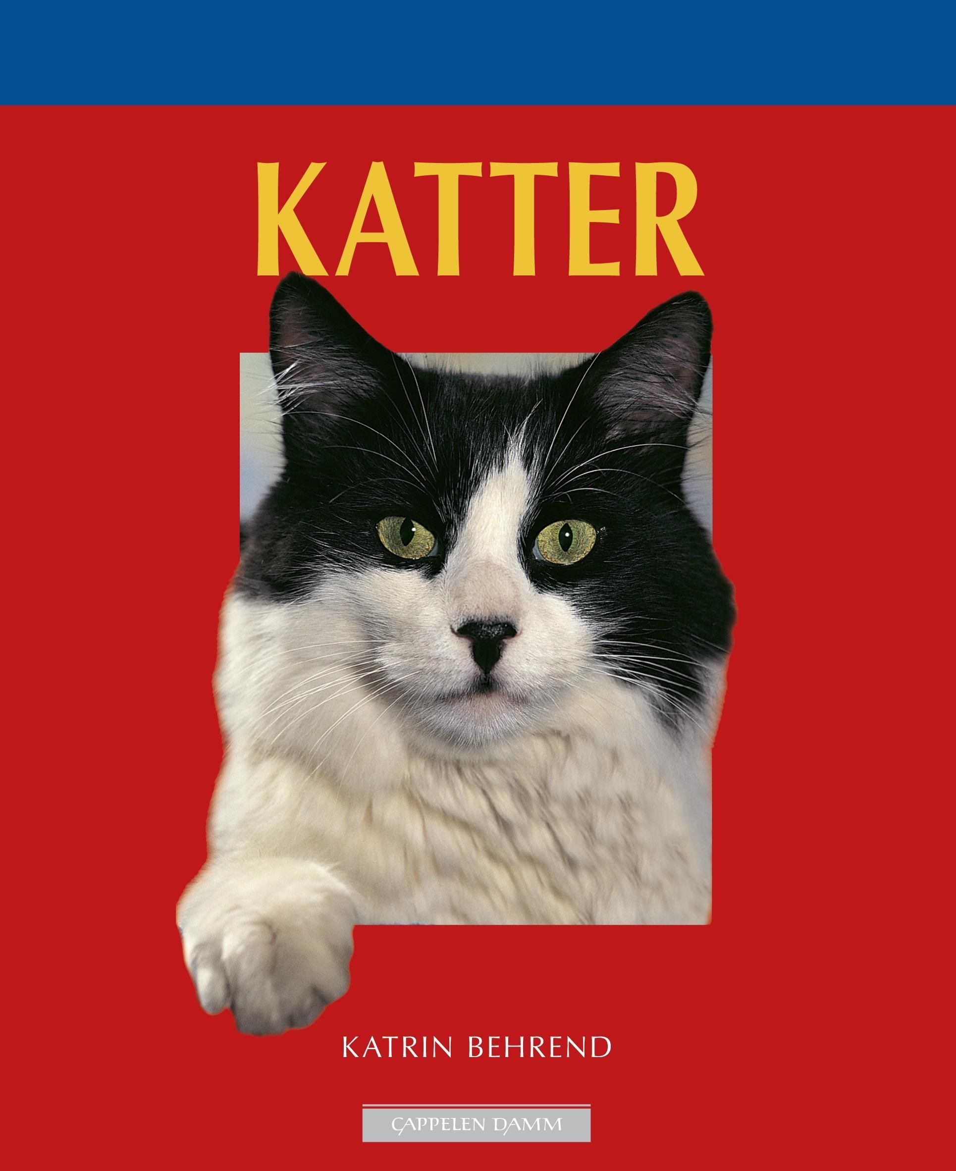 Katzen