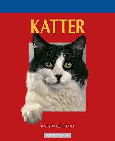 Katzen
