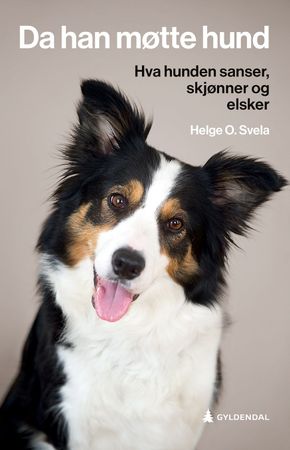 Da han møtte hund