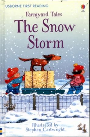The snow storm
