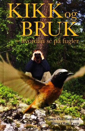 Kikk og bruk