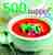 500 soups
