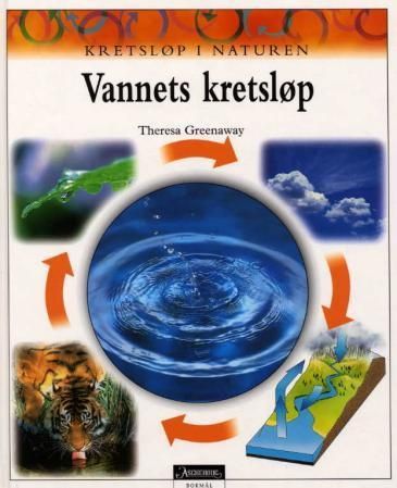 The water cycle
