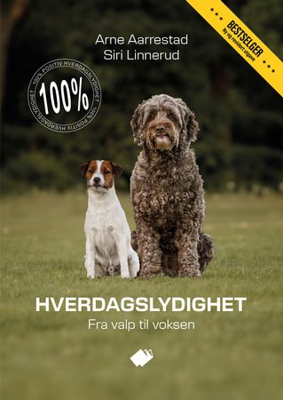 100 % positiv hverdagslydighet