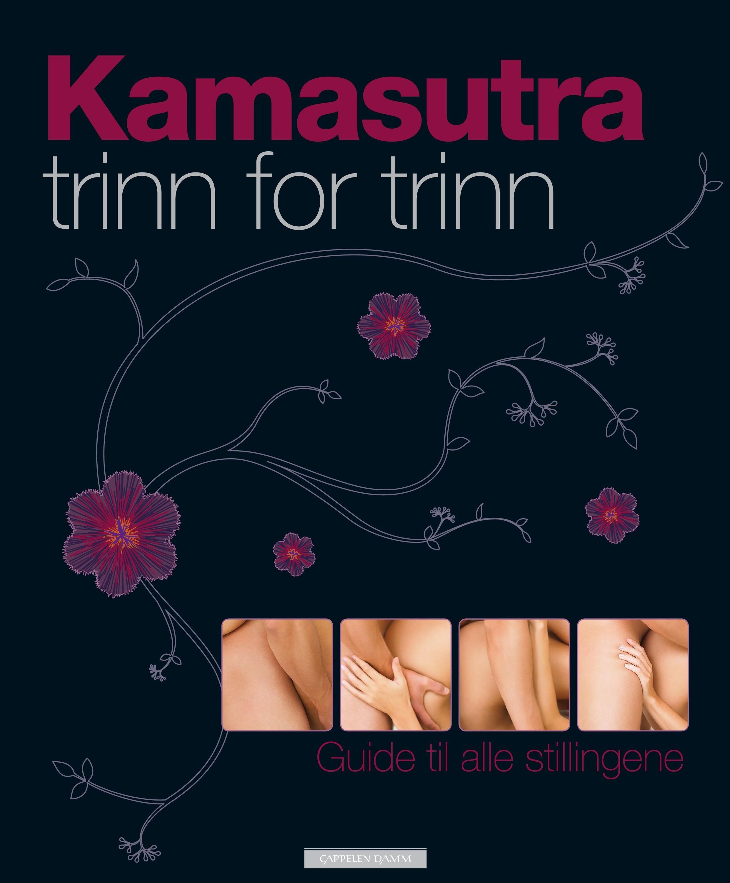 Kama sutra step by step