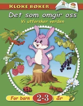 Det som omgir oss