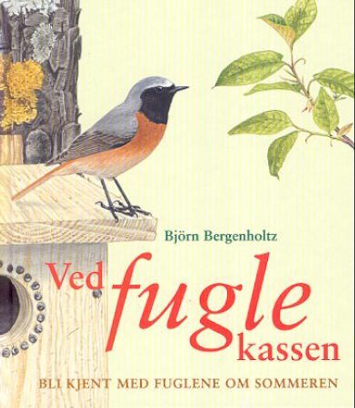 Vid fågelholken