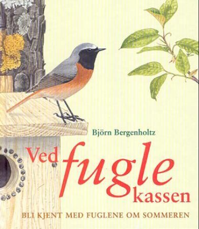 Vid fågelholken